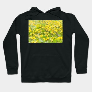 Dandelions Hoodie